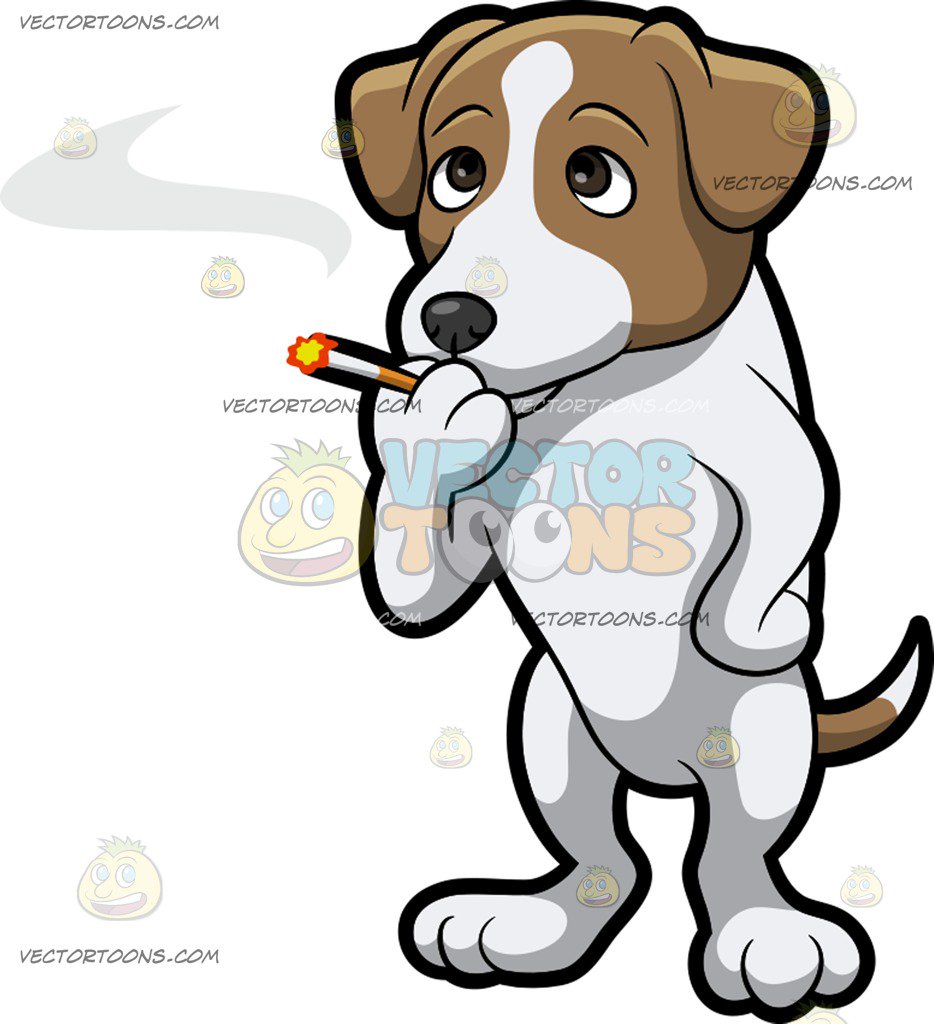 934x1024 A Jack Russell Terrier Smoking A Cigarette Cartoon Clipart