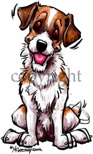 300x495 Jack Russell Terrier