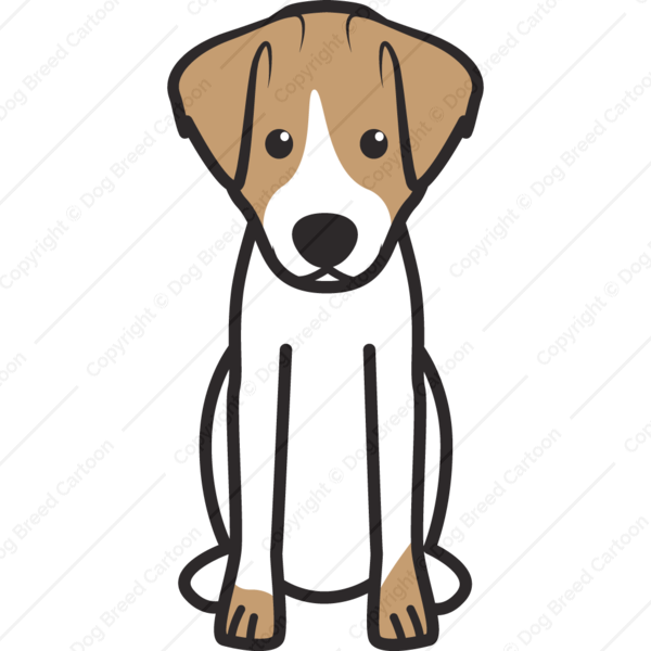 600x600 Jack Russell Terrier