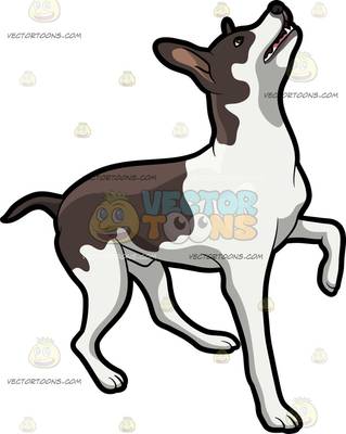 319x400 Rat Terrier Clipart