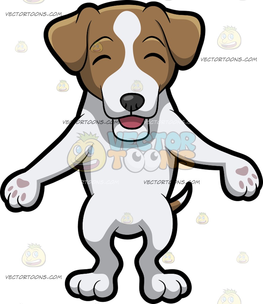 886x1024 A Happy Jack Russell Terrier With Blocks Of Neighboring Apartment