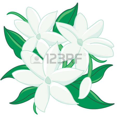 450x450 Top 94 Jasmine Clip Art