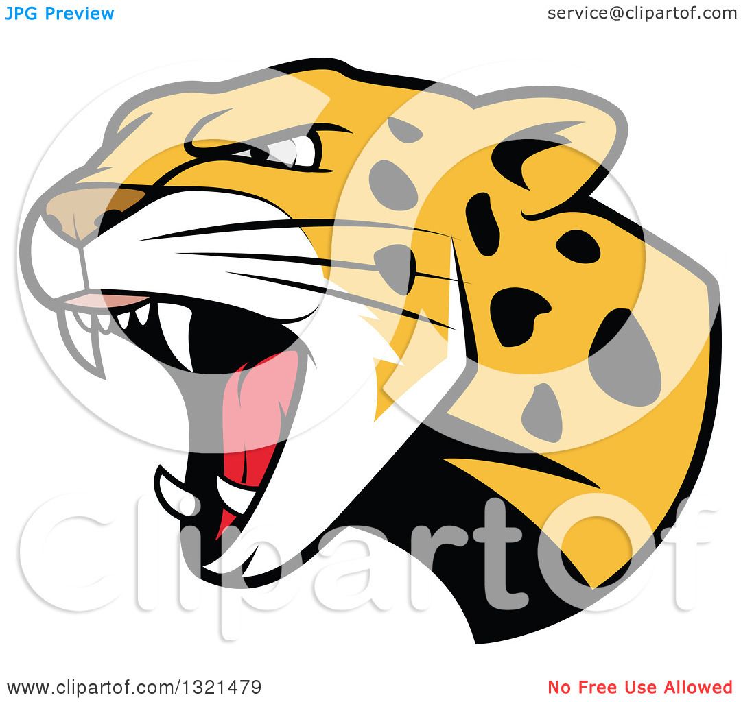 1080x1024 Clipart Of A Roaring Angry Jaguar Or Leopard Big Cat Head