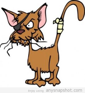 276x300 Jaguar Animal Cute