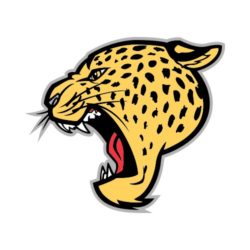 250x250 Crocodile Side02 Bw Clip Art