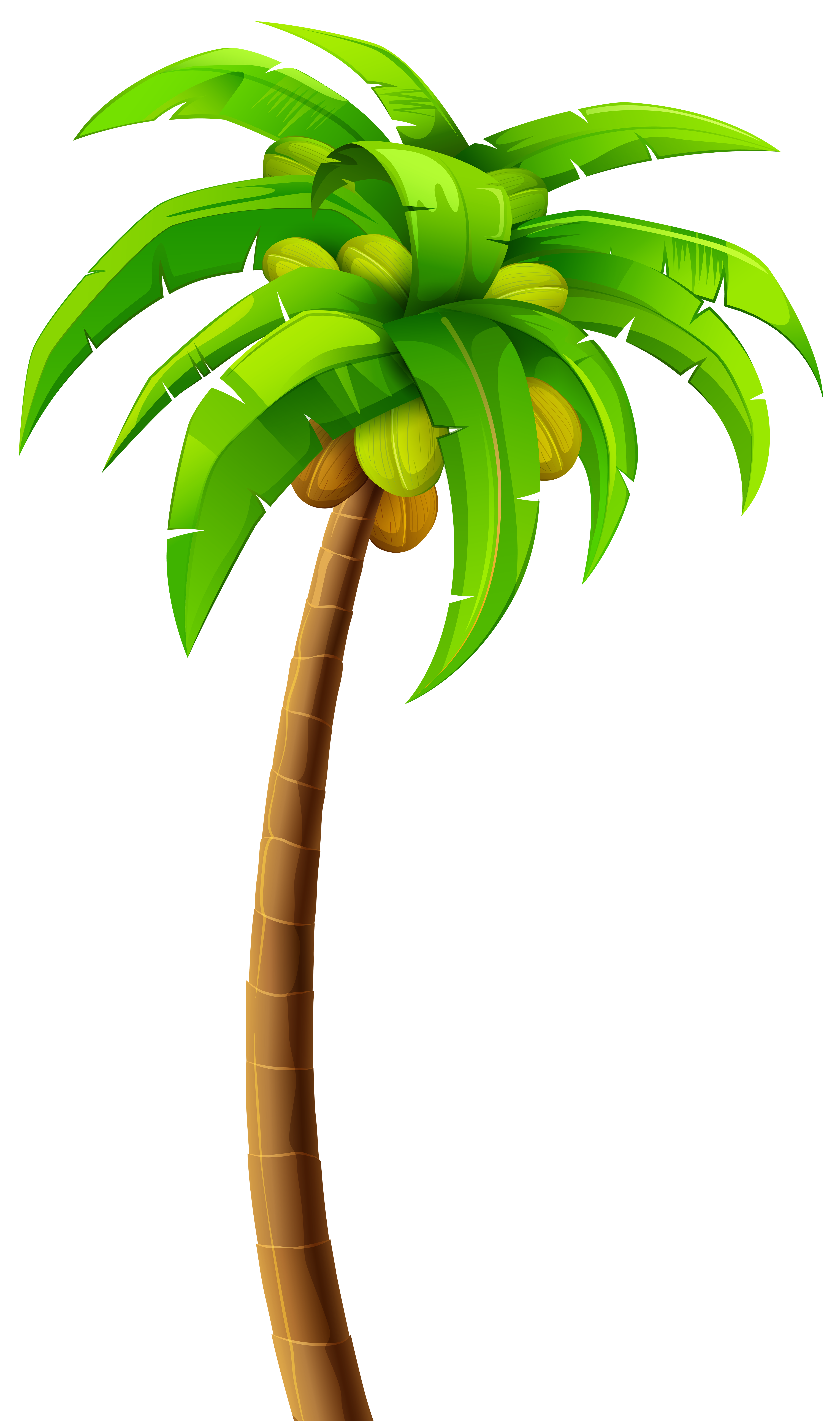 4730x8000 Palm Tree Clipart Jamaican
