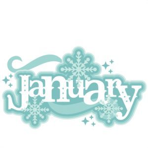 300x300 Image Result For January January January, Bullet
