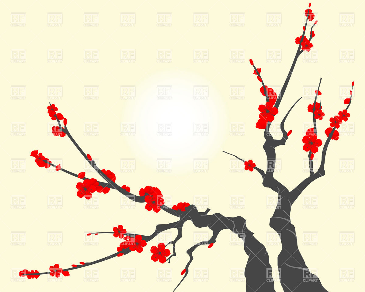 1200x960 Sakura Blossom Branch, With Cherry Flowers Vector Image Vector