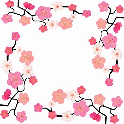 416x416 Card With Blossoms Japanese Vector Illustration Premium Clipart