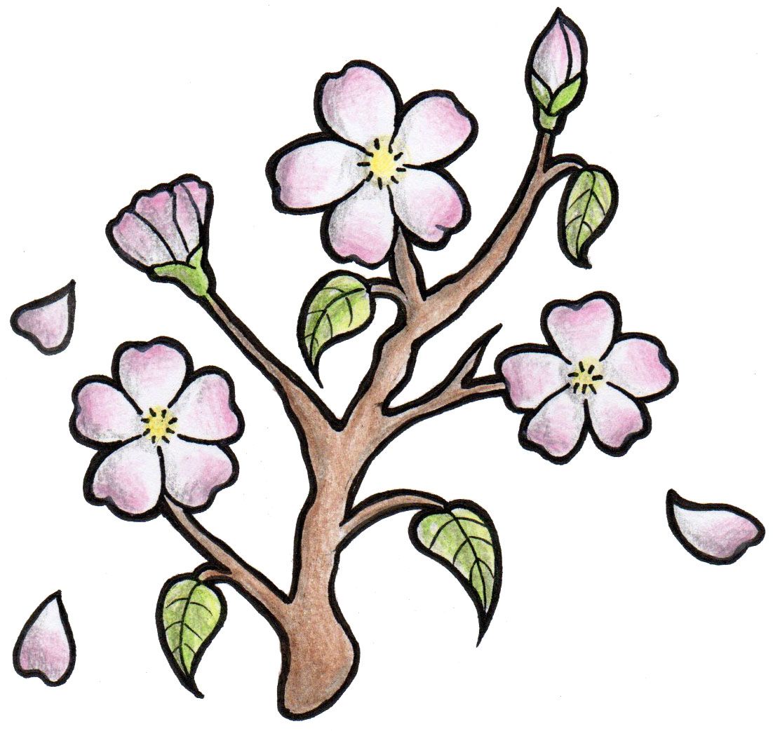 1102x1043 Cherry Blossom Tattoo Design