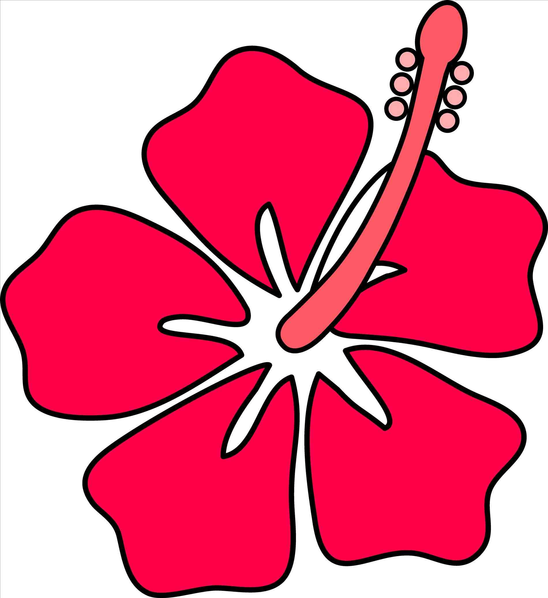 1900x2073 Hawaii Flower Drawings