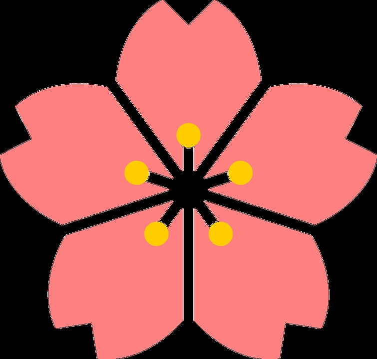 755x720 Japanese Flower Clipart Cherry Blossom Flower Japan Free Vector