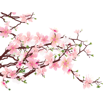 400x400 Japanese Flowers On Tree Transparent Png