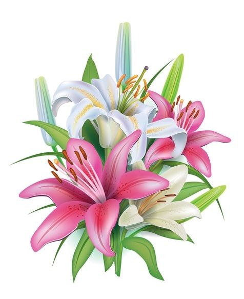 476x583 69 Best Clip Art Flowers Three Images On Art Flowers