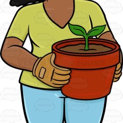 250x250 A Bald Man With A Bag