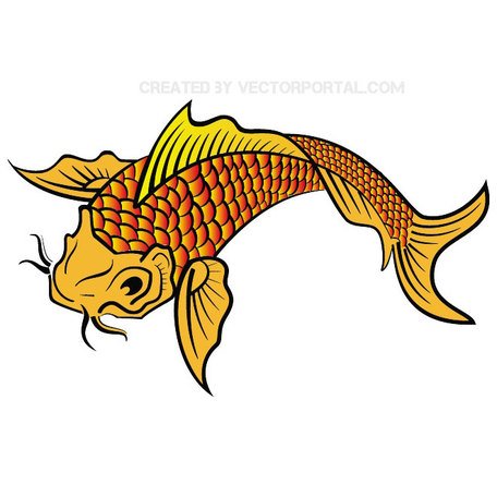 456x456 Free Koi Fish Free Vector.eps Clipart And Vector Graphics