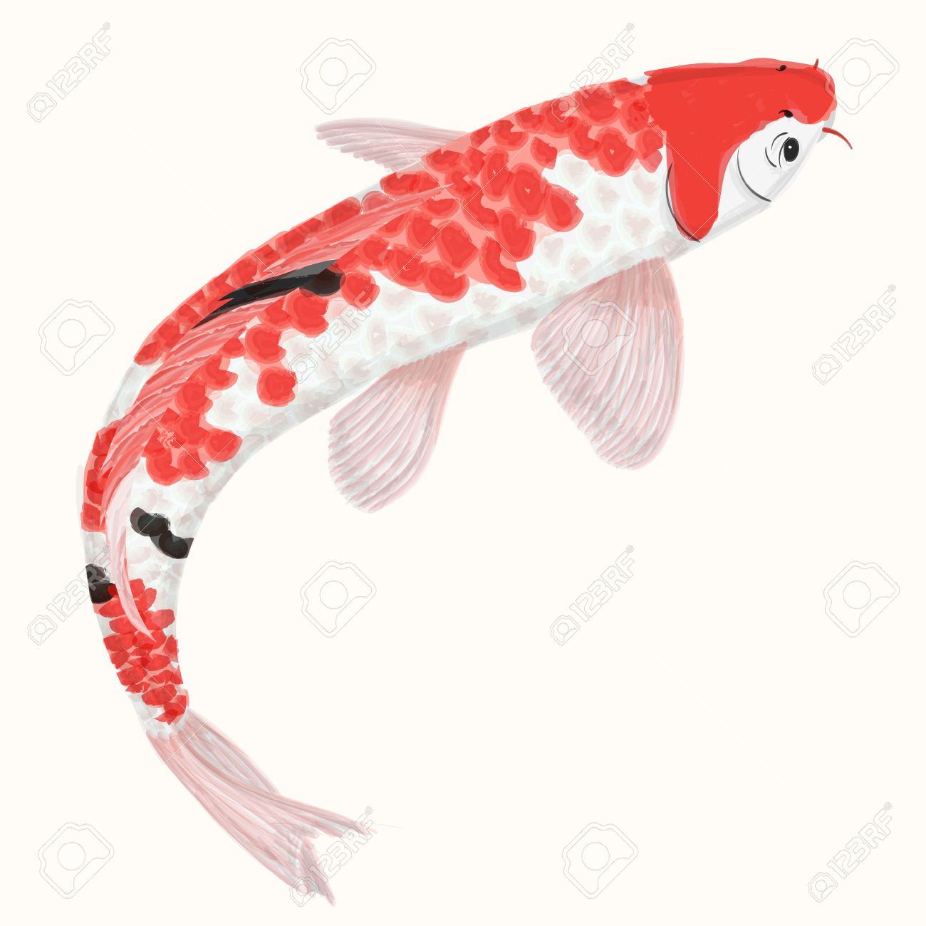 1300x1300 Imitation Aquarelle Arc Carpes Koi. Main Poissons