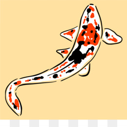 260x260 Koi Angelfish Drawing Clip Art