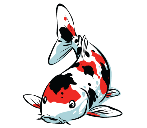 473x412 Koi Fish Clipart Clip