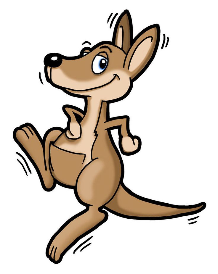 736x926 Kangaroo Cartoon Images Image Group