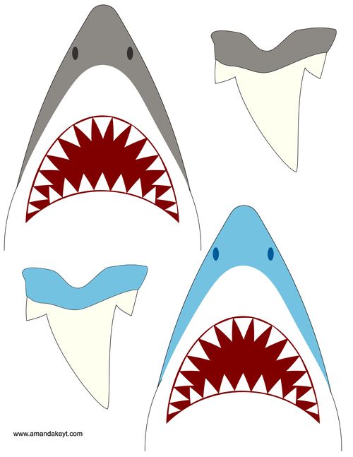 500x647 Shark.jpg Kids Party Shark Party