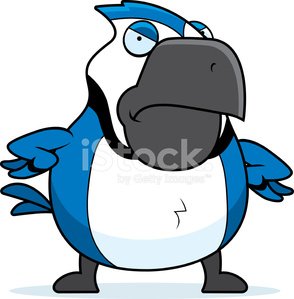 294x299 Cartoon Blue Jay Angry Stock Vectors