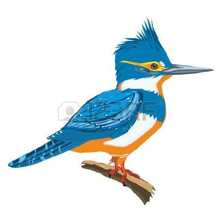 450x450 Kingfisher Clipart Clip Art