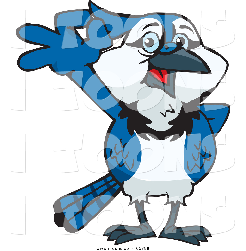 1024x1044 Vector Clip Art Of A Happy Blue Jay Gesturing Okay By Dennis