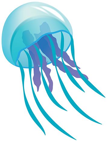 355x470 Best Jellyfish Clipart