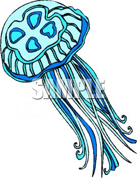 269x350 Royalty Free Clip Art Image Man Of War Jellyfish