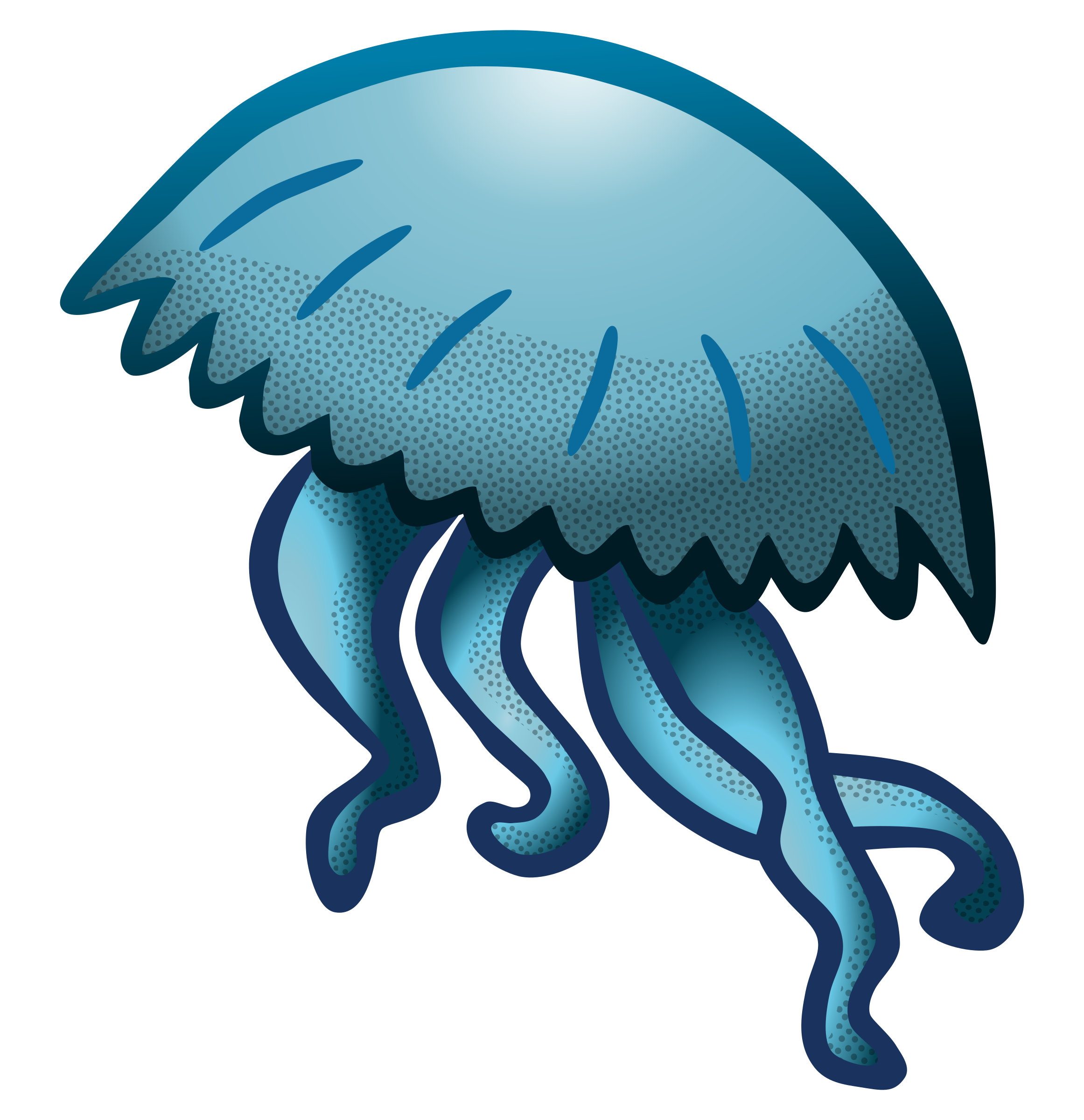 2323x2400 Jellyfish