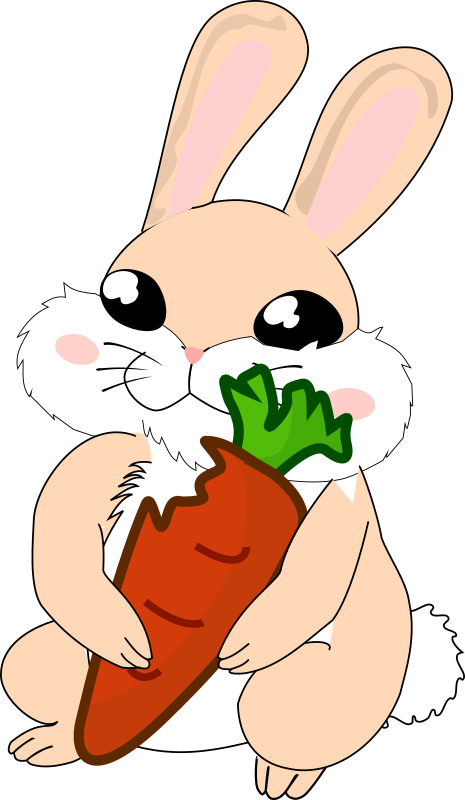 465x800 Collection Of Rabbit With Carrot Clipart High Quality, Free