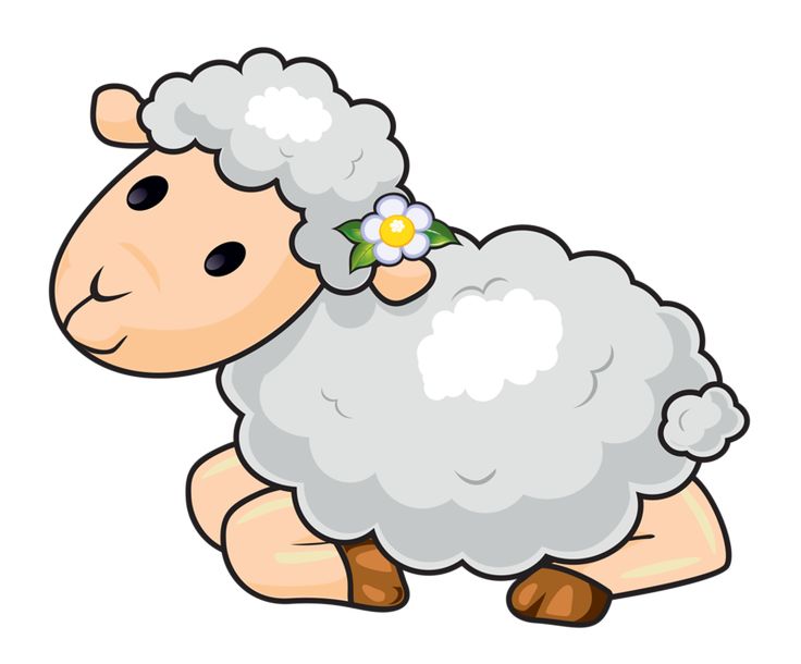 736x610 Sheep Clipart
