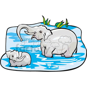 300x300 Royalty Free Elephant With Elephant Calf Bathing In Water 129666