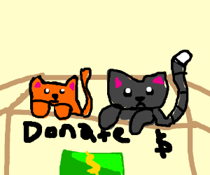 300x250 John Cena Clipart Cat