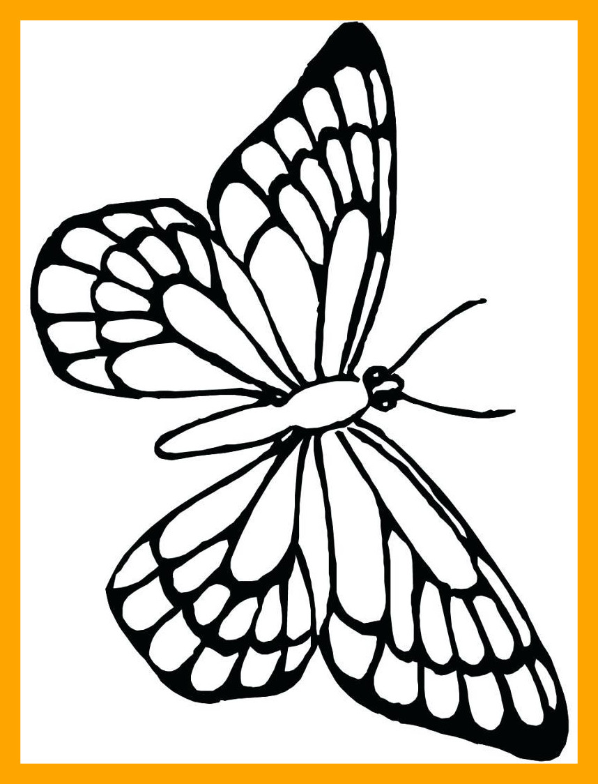 858x1124 The Best Unparalleled Butterfly Activity Sheets Monarch Coloring