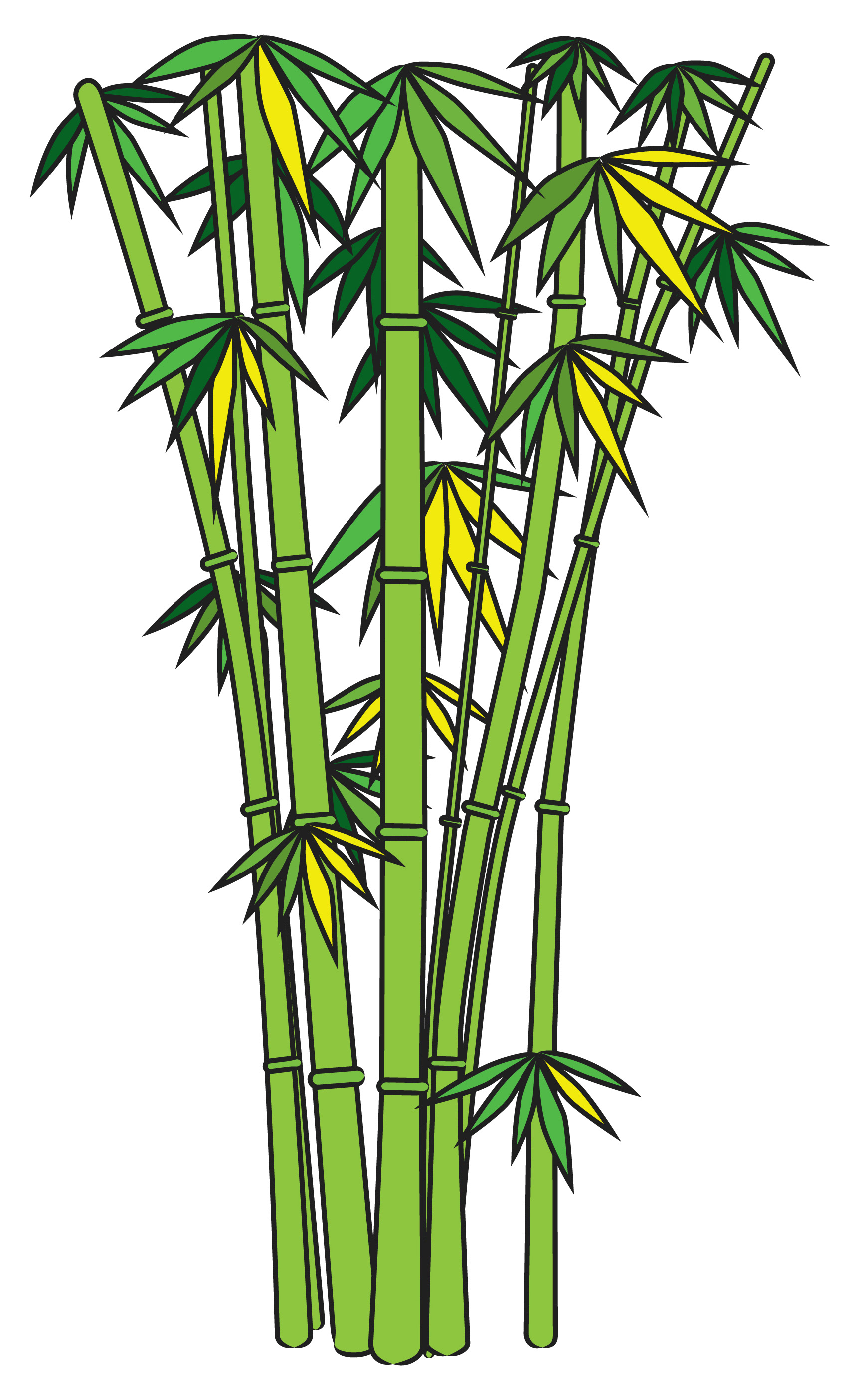 1741x2802 Open Source Bamboo Clipart