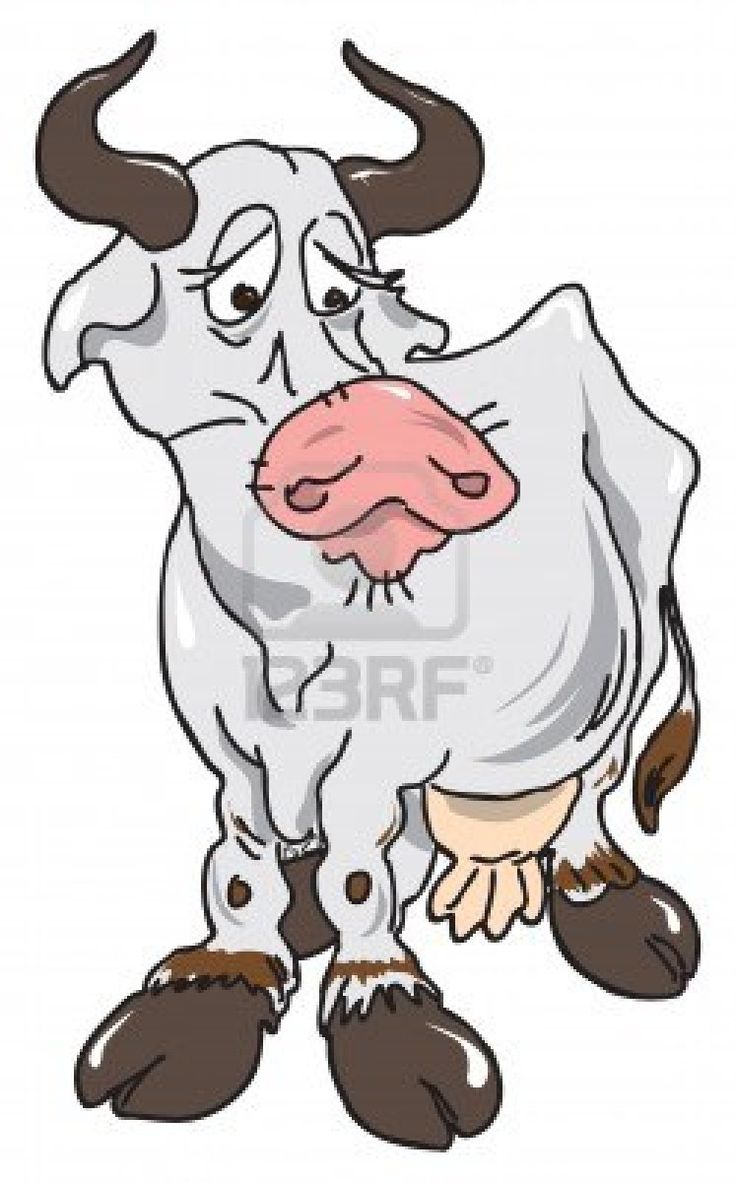 736x1182 9 Best Joseph Images On Joseph, Cartoon Cow And Farm