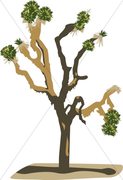 419x612 Joshua Tree Nature Clipart