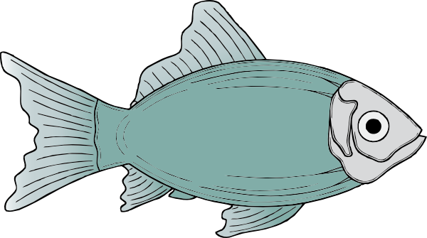 600x335 Top 78 Fish Clip Art