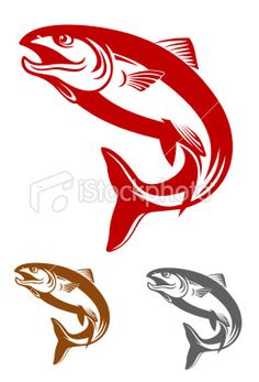 236x347 Vector Clip Art Of Salmon Fish