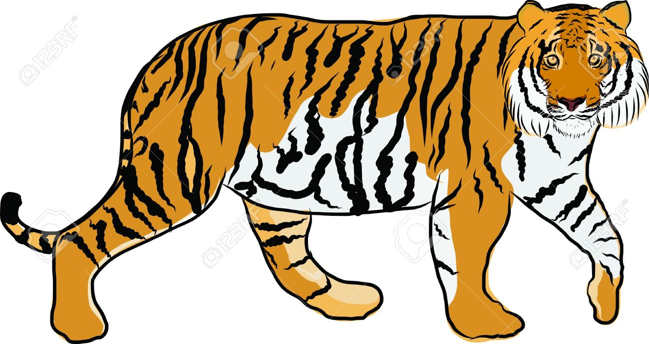 1300x690 Clipart Of Tiger Tiger Clipart Jungle Animal 12
