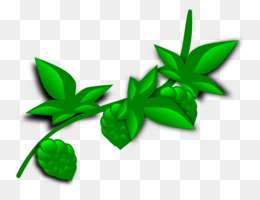 260x200 Plant Stem Clip Art