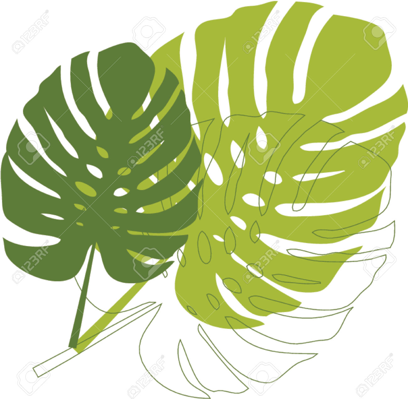 1300x1273 Rainforest Leaves Clipart