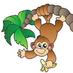 250x250 Collection Of Jungle Monkey Clipart High Quality, Free