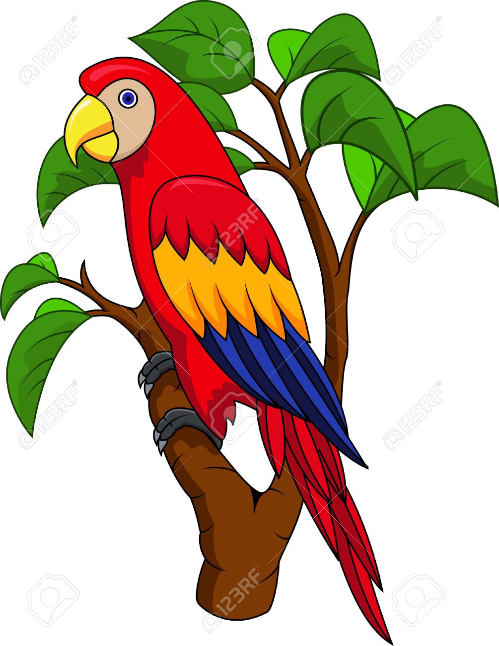 1005x1300 Jungle Parrot Clipart Amp Jungle Parrot Clip Art Images