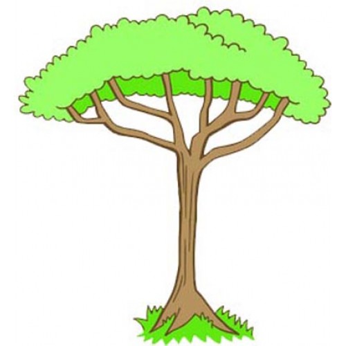 500x500 Jungle Trees Background Clipart