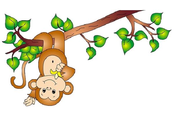 600x400 Jungle Vines Clipart Collection