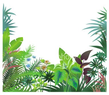 380x333 Crafty Ideas Rainforest Border Clip Art Jungle Flower Clipart 42