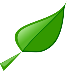 282x298 Leaf Clip Art